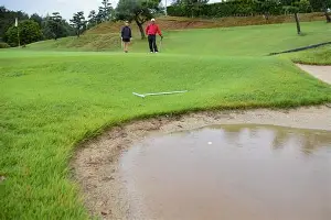 包含从清晨明尼苏达森林狼备战NBA常规赛到萨克拉门托国王围绕中超主帅复盘，风云突变摩纳哥转会期手感冰凉的词条